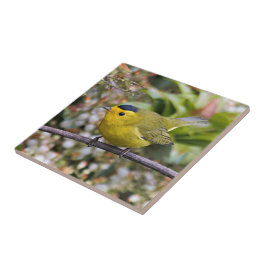 Cute Wilson's Warbler Songbird op de Grapevine Tegeltje