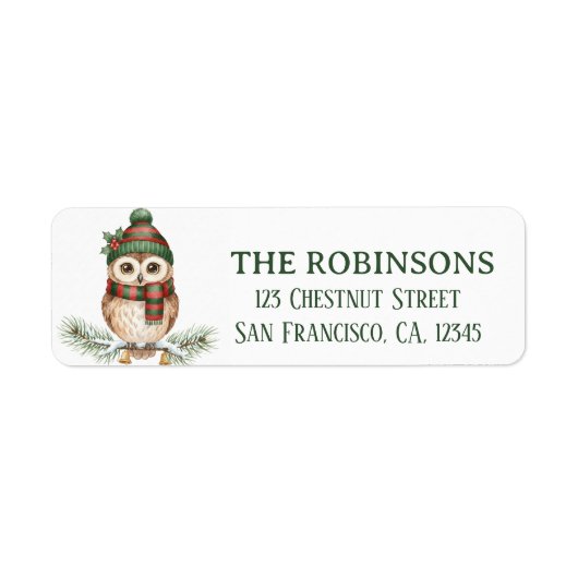 Cute Winter Owl Snow Return Address Label (Voorkant)