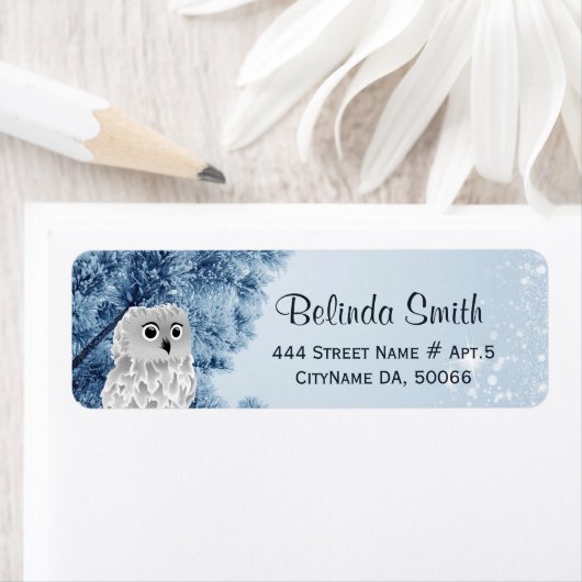 Cute Winter Owl White Blue Etiket (Insitu)