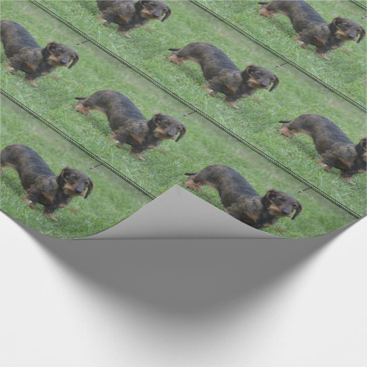 Cute Wire Haire Dachshund Cadeaupapier (Hoek)