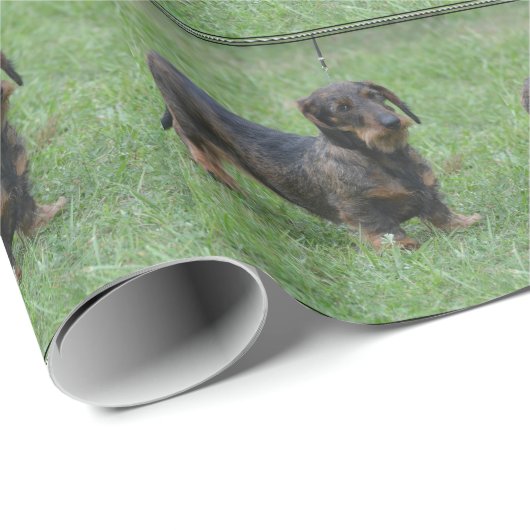 Cute Wire Haire Dachshund Cadeaupapier (Rol Hoek)