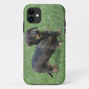 Cute Wire Haire Dachshund Case-Mate iPhone Case
