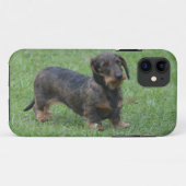 Cute Wire Haire Dachshund Case-Mate iPhone Case (Achterkant (horizontaal))