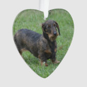 Cute Wire Haire Dachshund Ornament (voorkant)