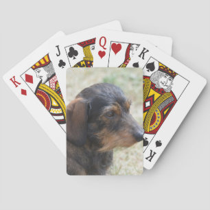 Cute Wire Haire Daschund Pokerkaarten