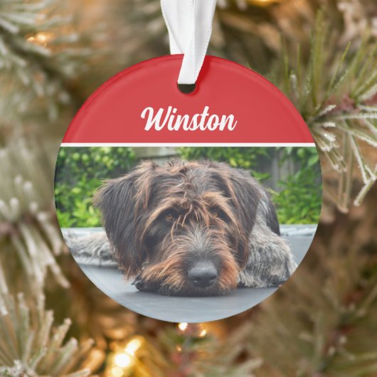 Cute Wirehair Pointer Dog Holiday Christmas Photo Ornament (Boom)