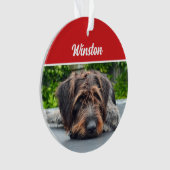 Cute Wirehair Pointer Dog Holiday Christmas Photo Ornament (voorkant)