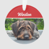 Cute Wirehair Pointer Dog Holiday Christmas Photo Ornament (voorkant)
