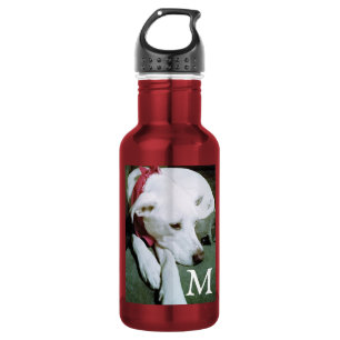 Cute witte hond foto toevoegen eerste kinderen roo waterfles