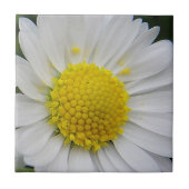 Cute, witte maaltijd tegeltje (Voorkant)