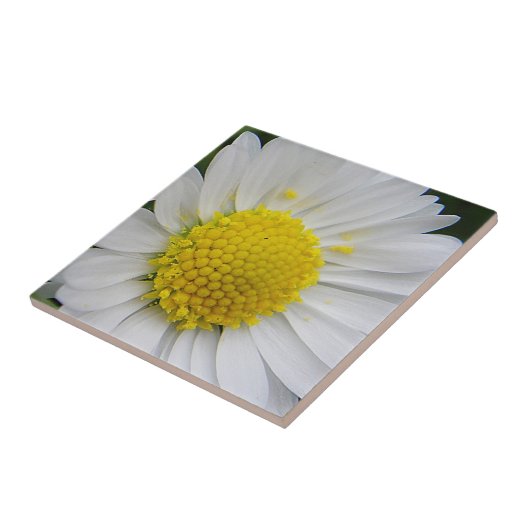 Cute, witte maaltijd tegeltje (Zijkant)