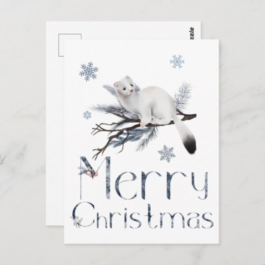 Cute Witte Wezel Dier Op Een Pijnboom Briefkaart (Voorkant / Achterkant)