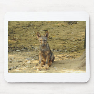Cute Wolf Cub Muismat