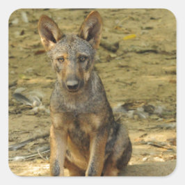 Cute Wolf Cub Vierkante Sticker