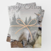 Cute Wolf Squirrel Winter Snow Forest kerst Inpakpapier Vel (In situ)