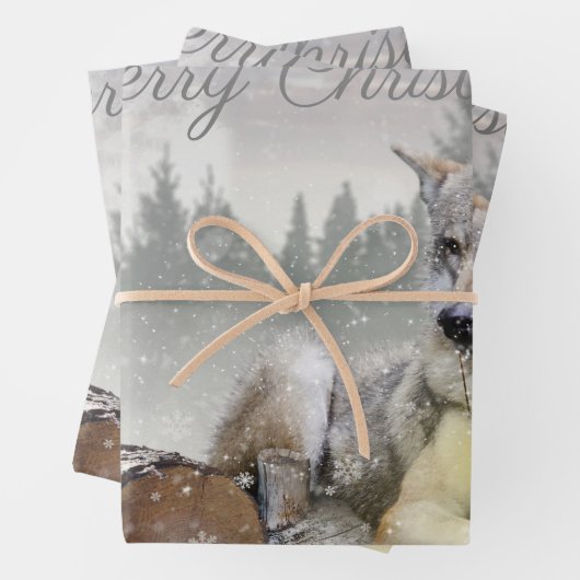 Cute Wolf Squirrel Winter Snow Forest kerst Inpakpapier Vel (In situ)