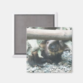 Cute Wolverine Magneet (Voorkant / Achterkant)