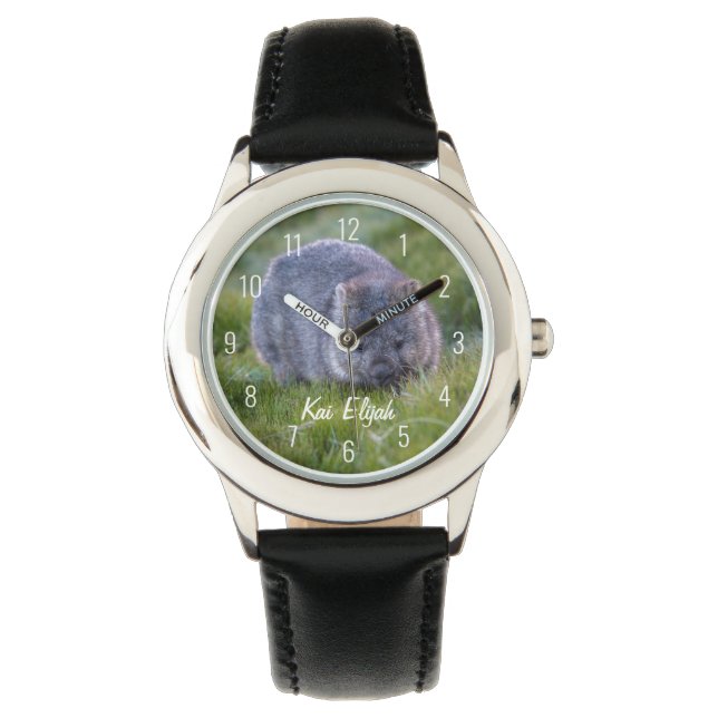 Cute Wombat Animal Australia Eating Grass Horloge (Voorkant)