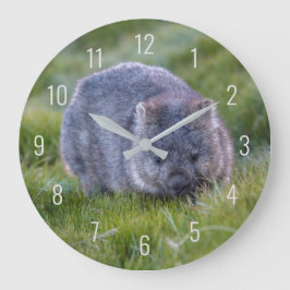 Cute Wombat Wildlife Animal Australia Green Grote Klok