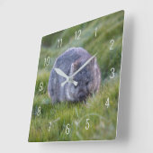 Cute Wombat Wildlife Animal Australia Green Vierkante Klok (Hoek)