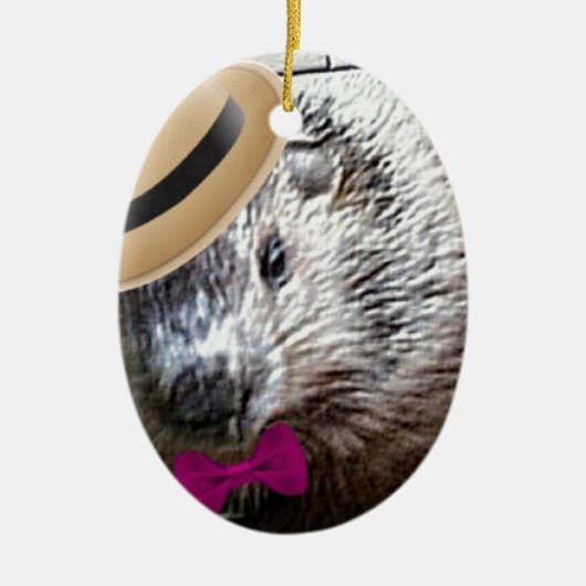 Cute Woodchuck Cartoon! Keramisch Ornament (Voorkant)