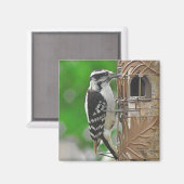 Cute Woodpecker Bird op Birdhouse Magneet (Voorkant / Achterkant)