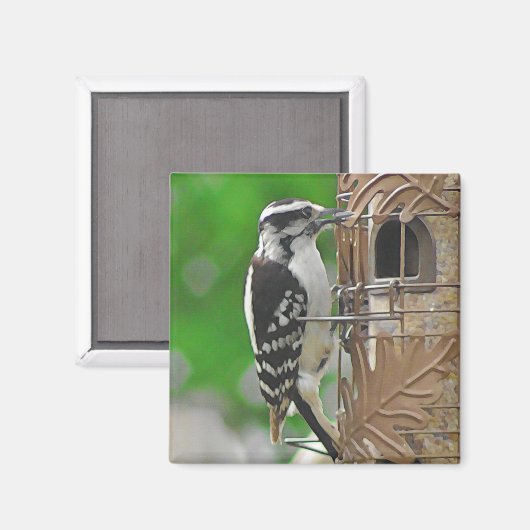 Cute Woodpecker Bird op Birdhouse Magneet (Voorkant / Achterkant)
