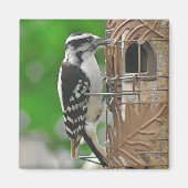 Cute Woodpecker Bird op Birdhouse Magneet (Voorkant)