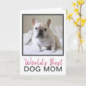 Cute World's Best Dog Mam Dog Foto Birthday Kaart (Gele Bloem)