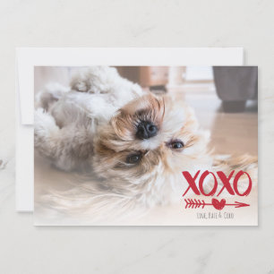 Cute XOXO Heart Valentijnsdag Photo Cards Feestdagenkaart