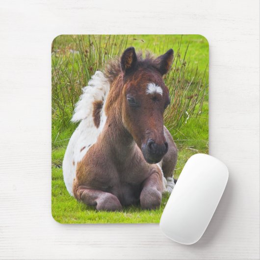Cute Yearling Foal mousepad Muismat (Met muis)