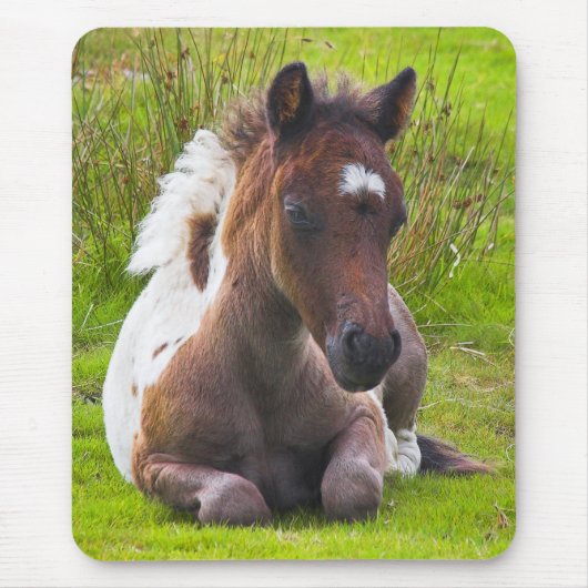 Cute Yearling Foal mousepad Muismat (Voorkant)