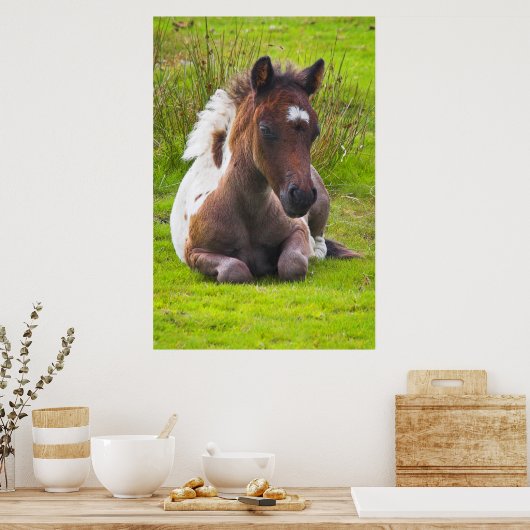 Cute Yearling Foal poster print (Keuken)