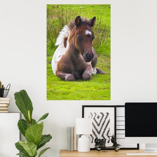 Cute Yearling Foal poster print (Thuiskantoor)