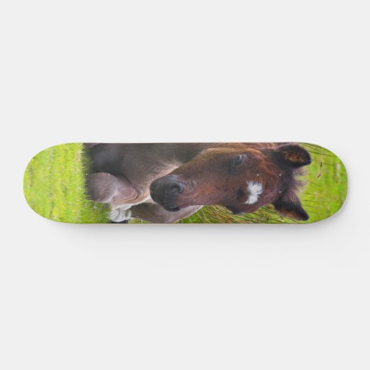 Cute Yearling Foal skateboard dek (Horizontaal)