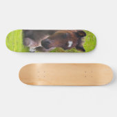 Cute Yearling Foal skateboard dek (Horizontaal)