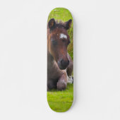 Cute Yearling Foal skateboard dek (Voorkant)