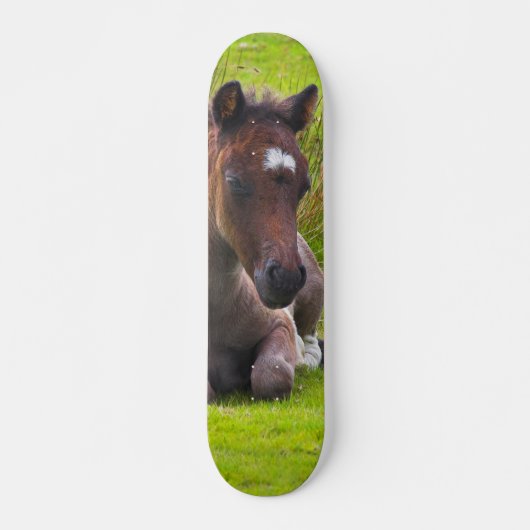Cute Yearling Foal skateboard dek (Voorkant)