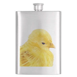 Cute yellow baby animal chick flacon