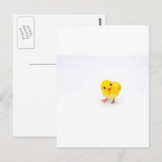 Cute yellow baby chick briefkaart (Voorkant / Achterkant)