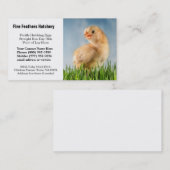 Cute Yellow Baby Chick Foto Visitekaartje (Voorkant / Achterkant)