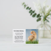 Cute Yellow Baby Chick Foto Visitekaartje (Staand voorkant)