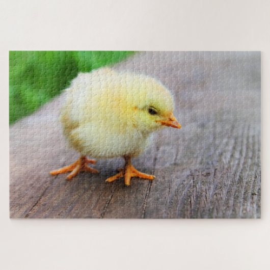 Cute yellow chick legpuzzel (Horizontaal)