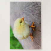 Cute yellow chick legpuzzel (Verticaal)