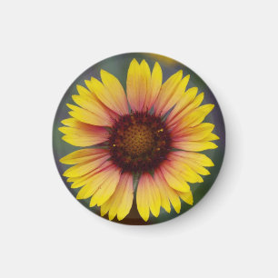 Cute Yellow Daisy Floral Magnet