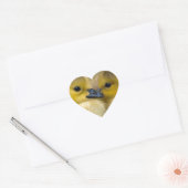 Cute Yellow Fluffy Ducklings, Baby Eenden Hart Sticker (Envelop)