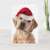 Cute Yellow Lab dog met Santa Hat-kerstkaart Feestdagen Kaart (Voorkant)