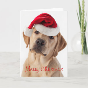 Cute Yellow Lab dog met Santa Hat-kerstkaart Feestdagen Kaart
