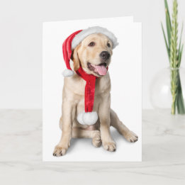 Cute Yellow Lab met Santa Hat Labby Feestdagen! Feestdagen Kaart
