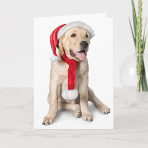 Cute Yellow Lab met Santa Hat Labby Feestdagen! Feestdagen Kaart
